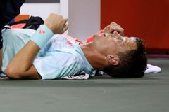 Berdych i Federer končí v Dubaji už ve druhém kole, český tenista nestačil na 66. hráče světa