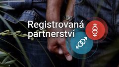 grafika - registrovaná partnerství