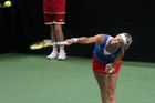 České tenistky jsou pošesté za sebou v semifinále Fed Cupu