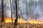 V Orlických horách hořel les. Kvůli suchu může být požárů víc, varují meteorologové