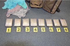 Ruzynští celníci odhalili pašeráka s 8 kg drogy ketamin