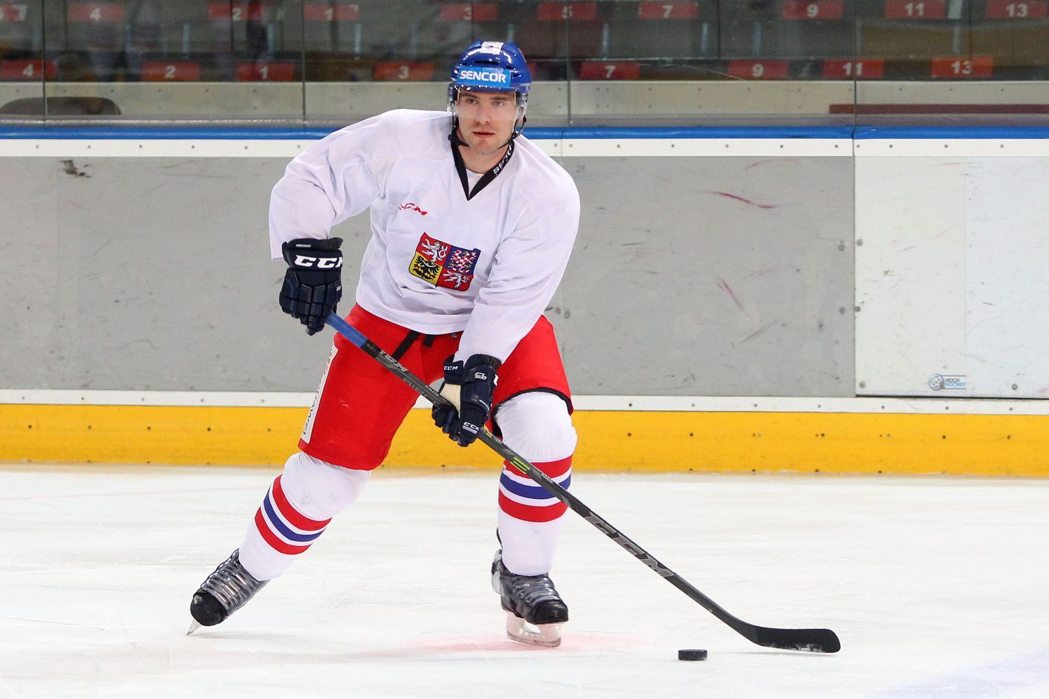 Sraz hokejové reprezentace před Karjalou 2015: Rostislav Olesz
