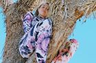 Miley Cyrusová lezla po vzácných stromech a fotila se na Instagram, lidé ji kritizují