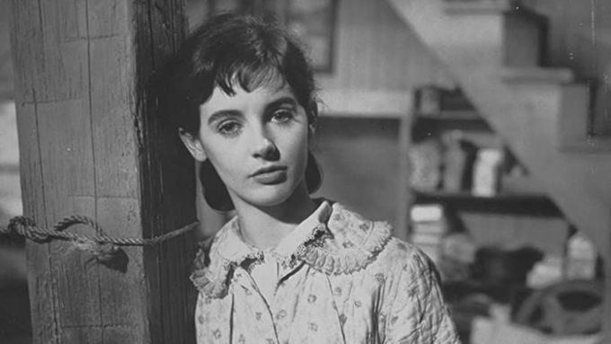 V Deníku Anny Frankové z roku 1959 hlavní roli ztvárnila Millie Perkinsová.