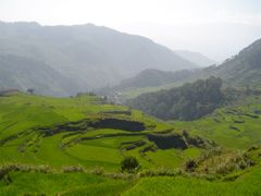 Rýže se na Filipínách již staletí pěstuje i v náročném horském terénu. Přesto země není soběstačná a musí tuto základní potravinu dovážet