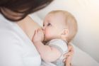 Porody císařským řezem snižují kvalitu mateřského mléka, ta se ale rychle lepší