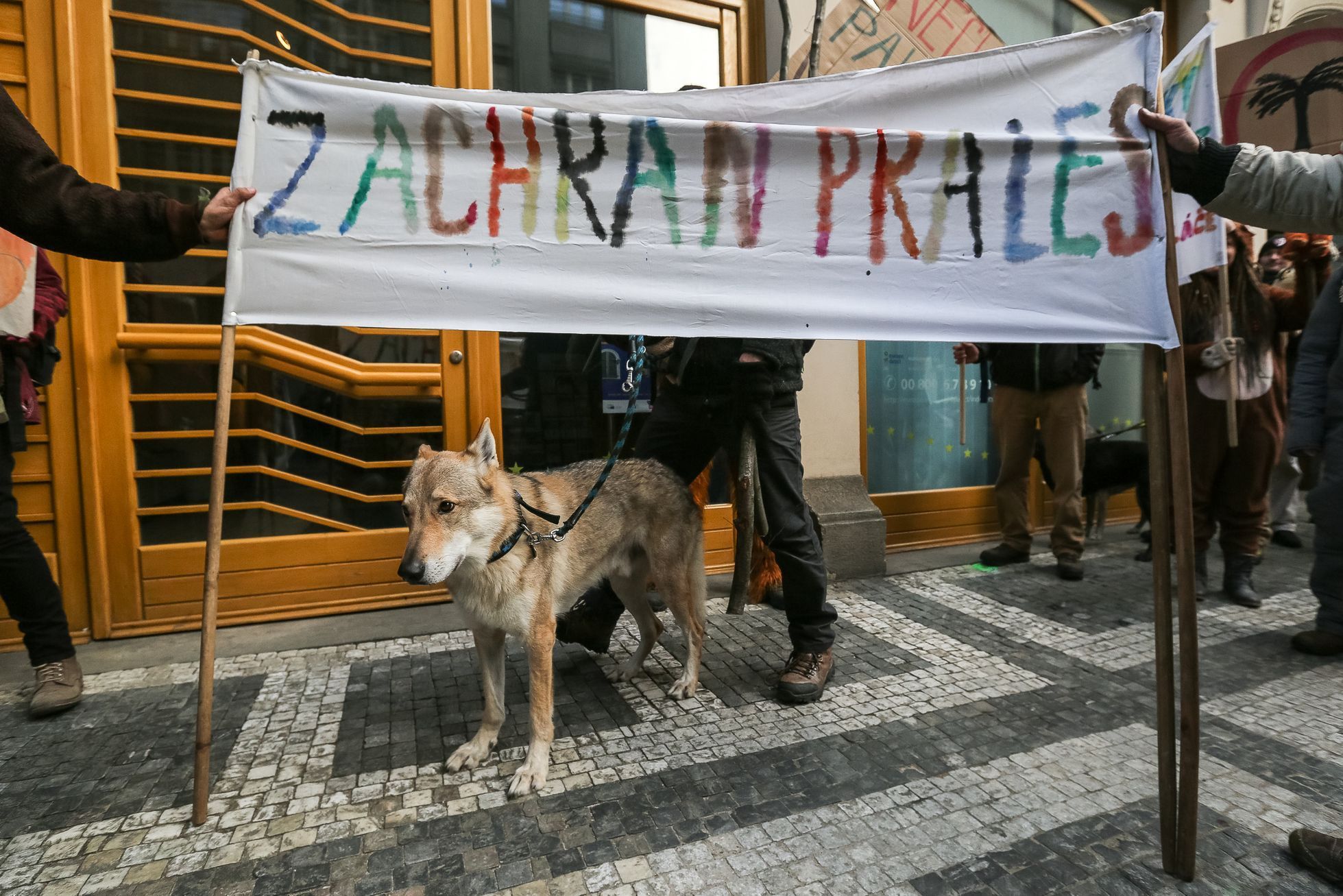 Demonstrace proti využívání palmového oleje do biopaliv