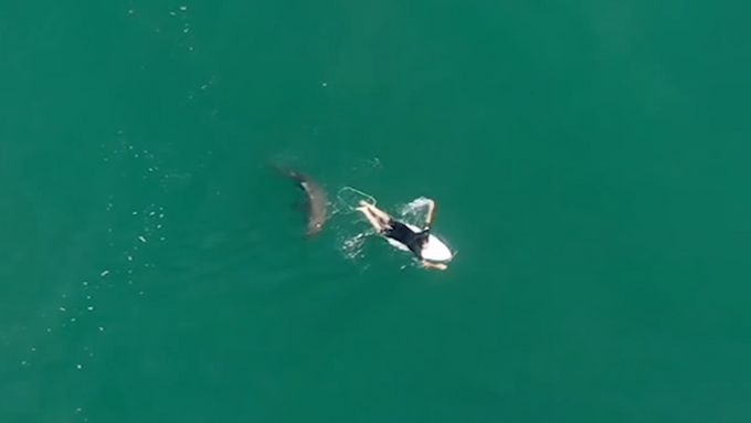 Surfař o vlásek unikl útoku žraloka