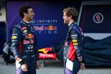 Vettelovým partnerem v Red Bullu letos nebude Australan Mark Webber, nýbrž Španěl Daniel Ricciardo.