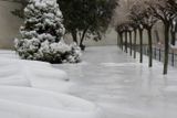 Sníh v Kroměříži