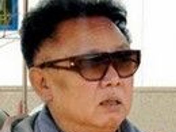Infobox Ikona Kim