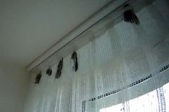 V bytě na sídlišti v Brně vyděsily ženu desítky netopýrů. Byli i ve sklenici na víno