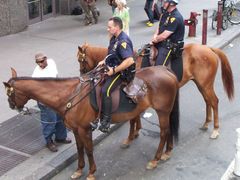 Počet policejních hlídek v ulicích New Yorku se zvýší o 30 procent