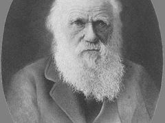 Koncept evoluce živočišných druhů, jak jej představil Charles Darwin, odmítá a zastává přibližně stejné množství Američanů.