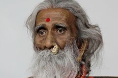 Zemřel indický jogín, který údajně 80 let nejedl ani nepil