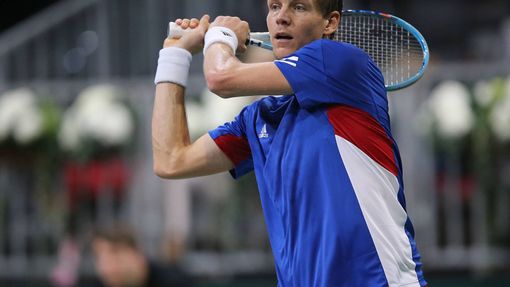 Tomáš Berdych, Davis Cup