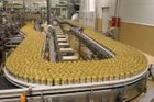Prazdroj investuje do pivovaru na Slovensku čtyři miliony eur. Nejvíc věří plechovkám