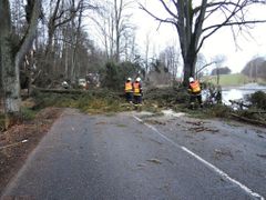 Spadlý strom na komunikaci I/13 nedaleko Raspenavy.