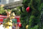 V Hongkongu došly vánoční stromky, jedle tu stojí až 50 tisíc korun