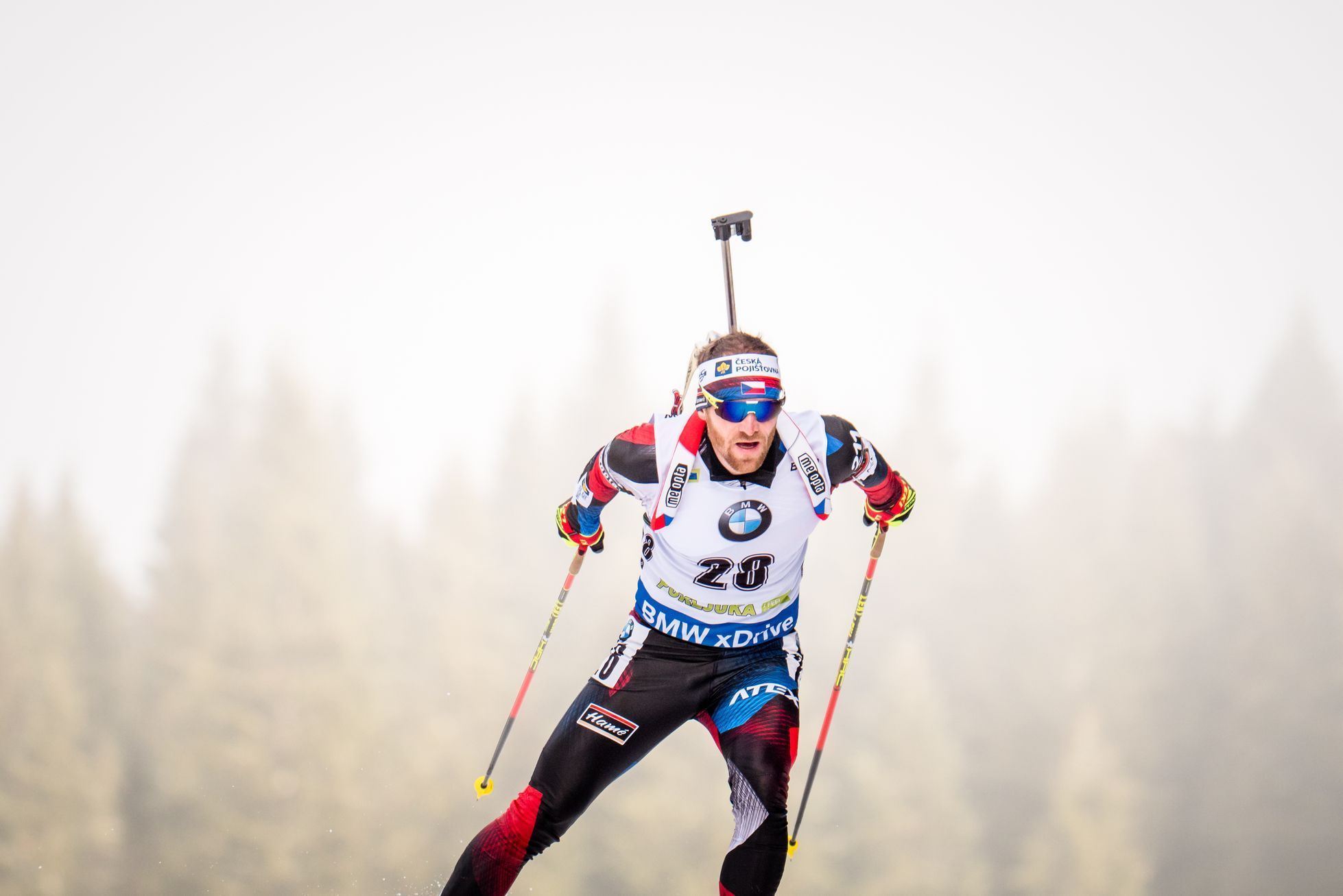 biatlon, SP 2018/2019, Pokljuka, vytrvalostní závod mužů, Michal Šlesingr