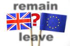 Zůstat v EU, nebo odejít? Jak by o Brexitu hlasovali čeští ekonomové