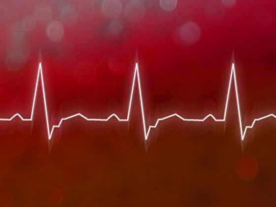 Čtěte také EKG