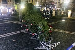 Česká Lípa přišla o vánoční strom, dvacetimetrový smrk v noci porazil silný vítr