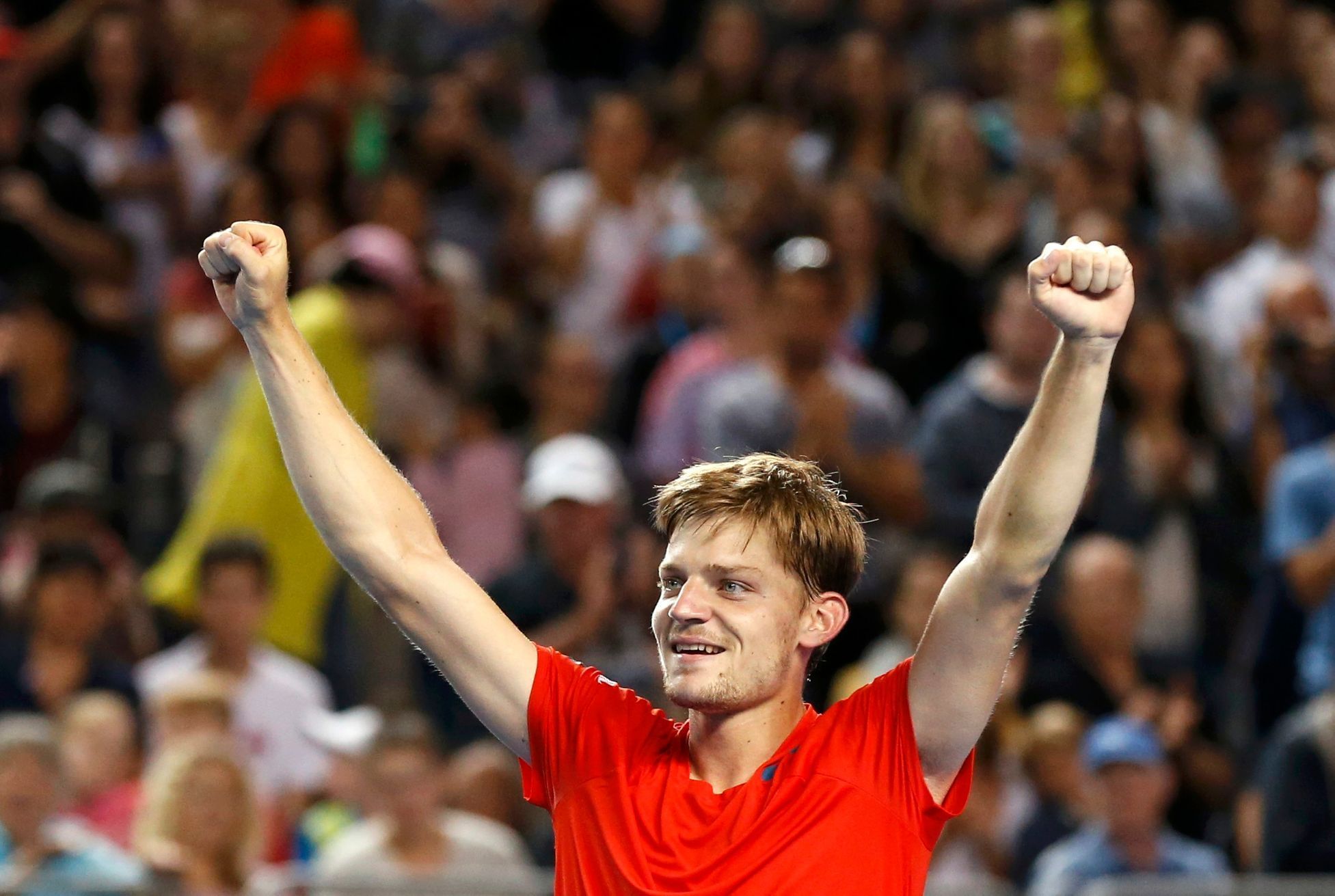 David Goffin na Australian Open 2016