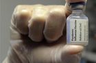 H1N1 zabil 10 tisíc Američanů, onemocněl každý šestý