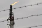 Shale gas fever mounts in Austria, Czech Republic