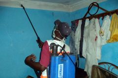 Pachatelé vraždy osmi zdravotníků v Guineji dostali doživotí