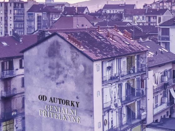 Elena Ferrante: Dny opuštění Elena Ferrante: Dny opuštění
