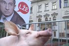 Selský rozum lidi v České televizi překvapil, odvysílají ho až po volbách, mají strach, aby se nestal součástí předvolební kampaně.