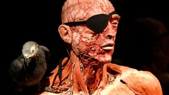 Výstava vypreparovaných těl v Berlíně vyvolala skandál