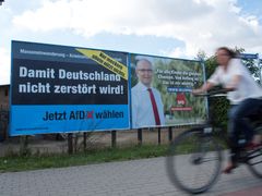 Volební plakáty Alternativy pro Německo a sociální demokracie v Greifswaldu