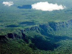 Amazonie je z větší části stále pokryta panenským pralesem, každého vykáceného hektaru je ale škoda