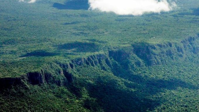 Papua-Nová Guinea má svou první CHKO: deštný prales (ilustrační foto)