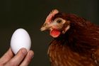 Nový reklamní tahák: Drahá vejce dostanete zadarmo
