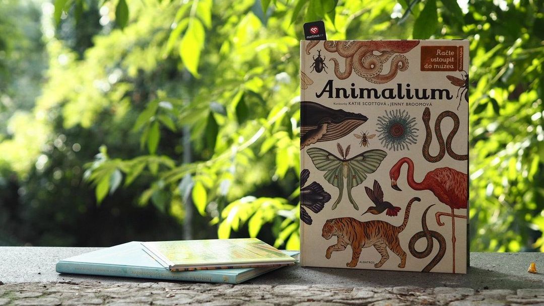 Animalium