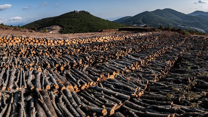 Na ilustračním snímku je odlesňování v okolí tureckého přístavního města Çanakkale.