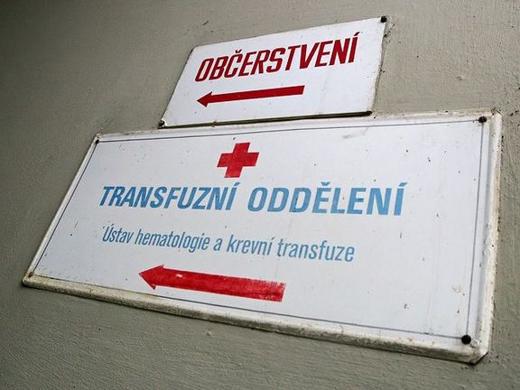 Transplantace kostní dřeně