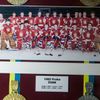 MS v hokeji 1985