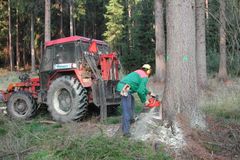 Dřevařská firma chce po státních lesech pět miliard