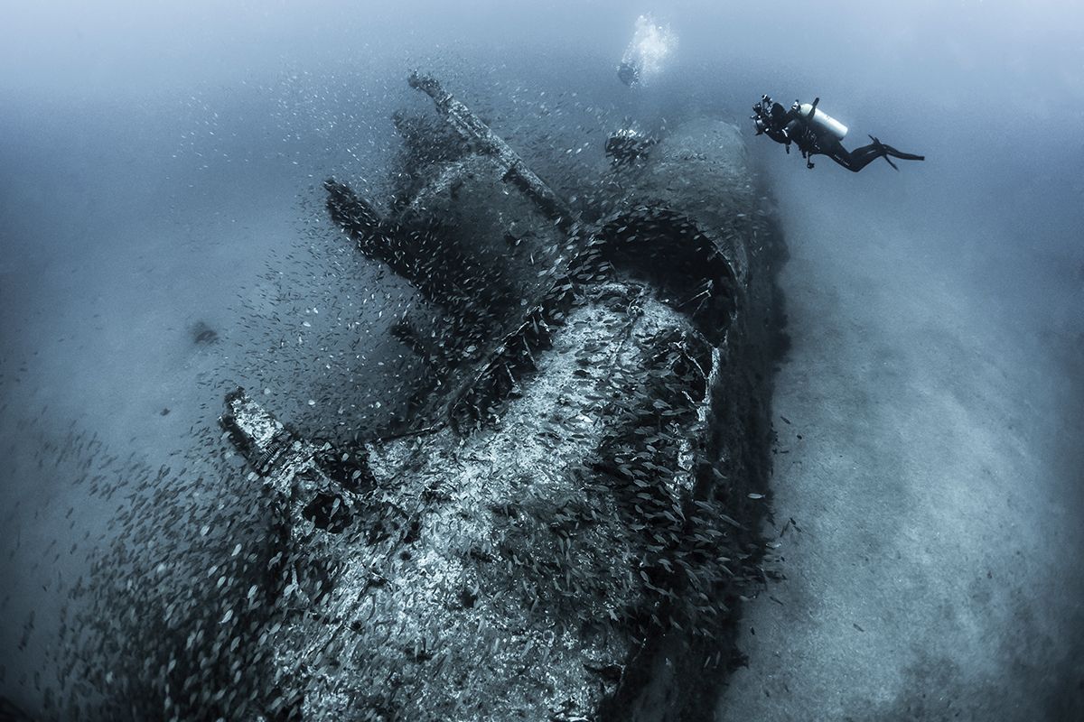Underwater Photographer of the Year 2017: Vítězové soutěže