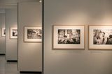 Moucha výstavu rozdělil do sedmi samostatných sekcí, v nichž každého autora představuje vždy na devíti fotografiích vybraných z širokých tématických celků.