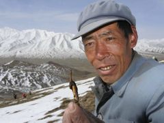 Muž ze západočínské provincie Čching-chaj ukazuje houbu zvanou Housenice čínská, kterou našel v horách La-ťi. Tento prvek tradiční tibetské medicíny je nyní stále více populární po celé Číně i ve světě.
