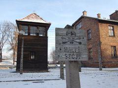 Osvětim - osvobozením této továrny na smrt podle historika Grosse zabíjení Židů v Polsku neskončilo