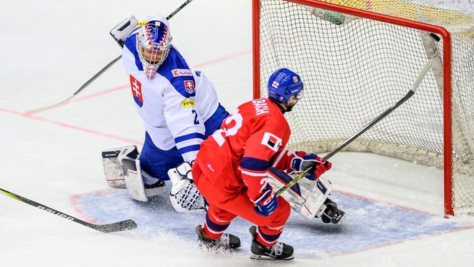 Brankář Michal Prádel ze Slovenska a Adam Titlbach z Česka, který střílí gól.