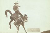 Kovboj Ned Coy z Dakoty předvádí rodeo na divokém mustangovi jménem Boy Dick.