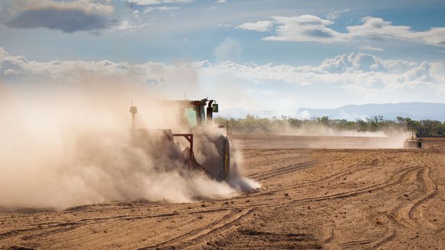 Sucho trápí především zemědělce. Paradoxně za něj mohou především velké agropodniky.